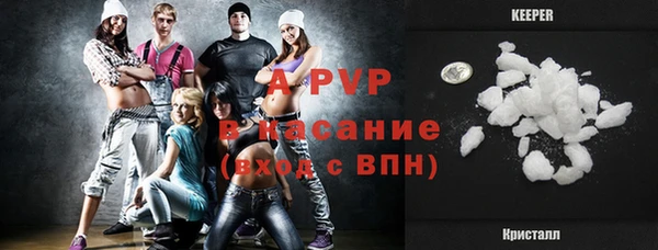 стаф Белокуриха