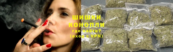стаф Белокуриха