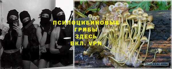 стаф Белокуриха