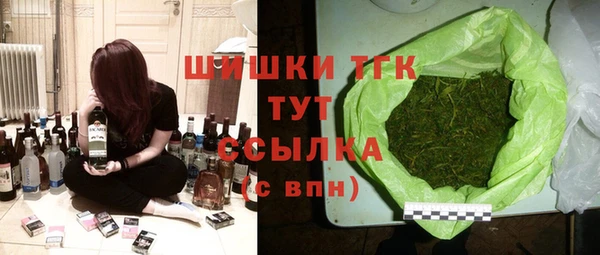 стаф Белокуриха